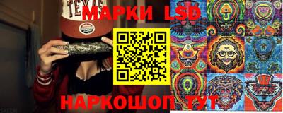мет Кингисепп