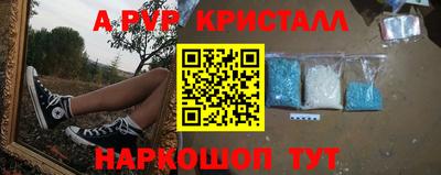мет Кингисепп