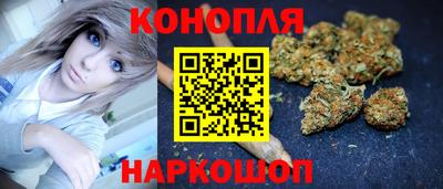 мет Кингисепп