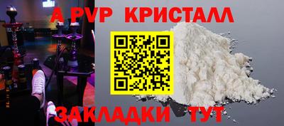 мет Кингисепп