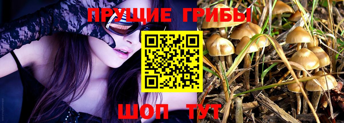 Псилоцибиновые грибы ЛСД Валуйки