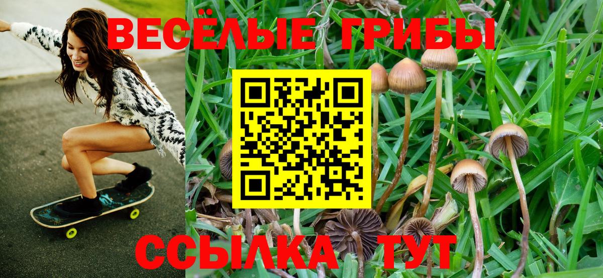 Галлюциногенные грибы ЛСД  Псилоцибиновые грибы прущие грибы  Валуйки  Вход с VPN 